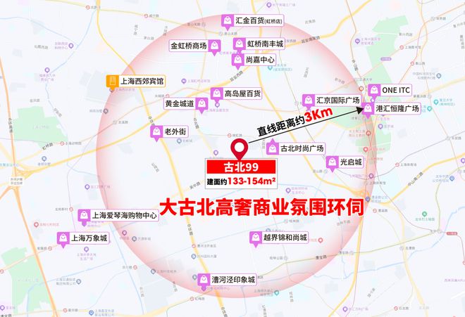 北99时代笔触绘就上海清雅画卷！冰球突破游戏上海古北99发布：古(图10)