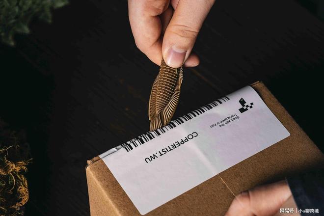 趣用品独立站给你更大的自由空间冰球突破豪华版平台管控太严？情(图2)